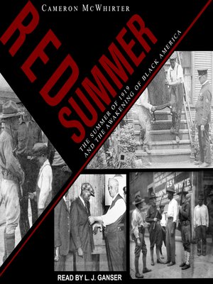Red Summer - Audiobook